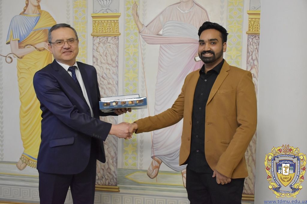 Dissertation vs thesis picture