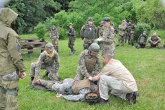 Bili-berety-vyshkil-15062451