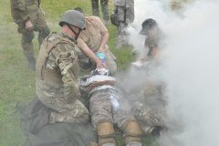 Bili-berety-vyshkil-15062481