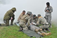 Bili-berety-vyshkil-15062486