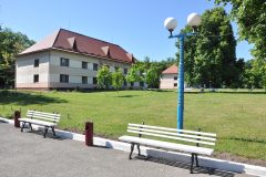 Chervona-kalyna-15061867