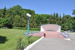 Chervona-kalyna-15061901