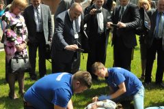 Konf-Bolonska-16052667