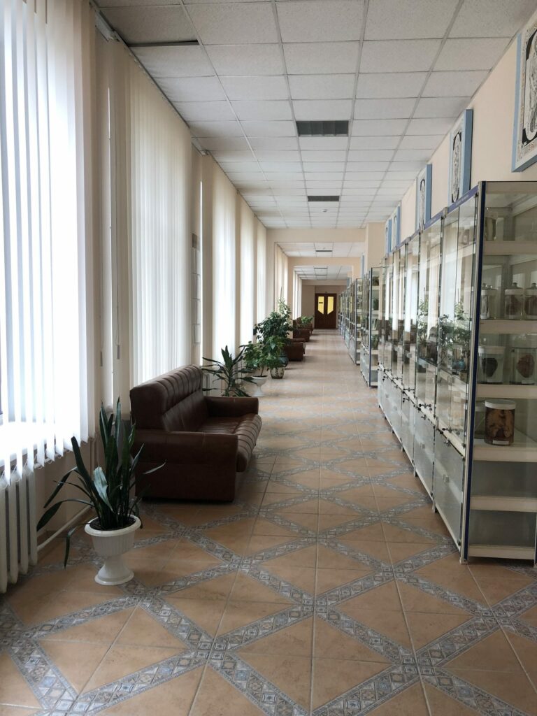 nimble_asset_1629284309865849-scaled