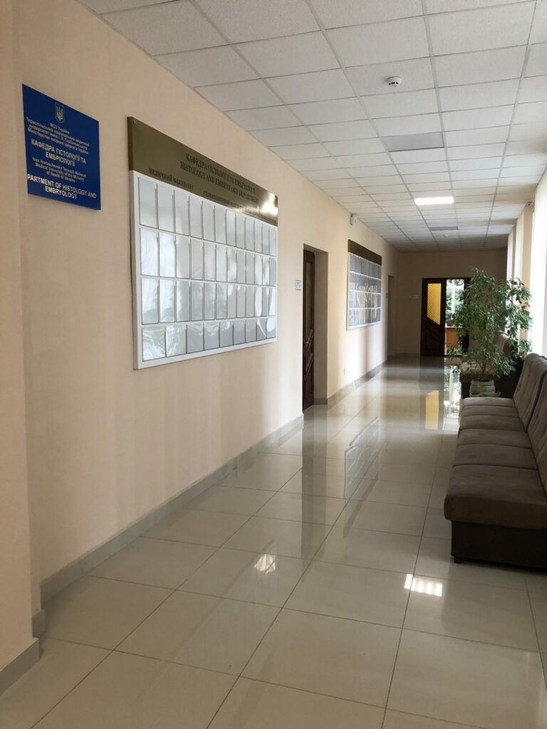 nimble_asset_162928432151908-scaled