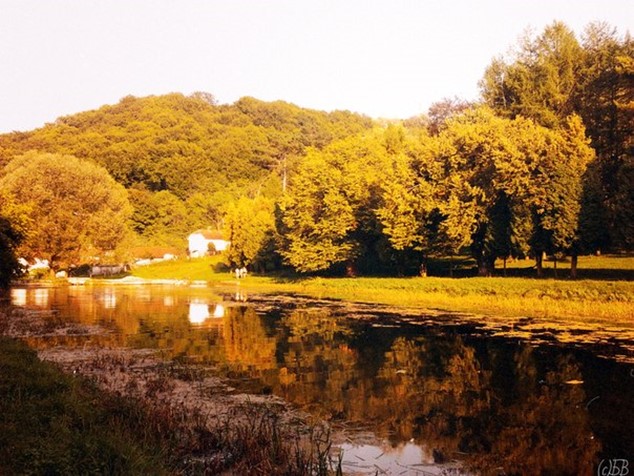 052815_1242_Ternopilreg28