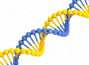 http://www.dreamstime.com/stock-photo-yellow-blue-dna-molecule-white-background-image43769380