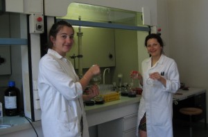 Робоче місце в лабораторії PHARMA-DEV (9)