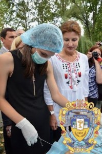 Misto-profesiy-15090766