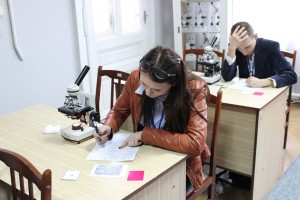 кушнерик1