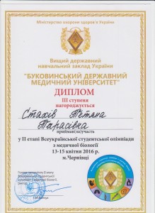 стахів