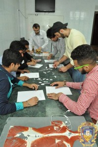 13346851_925109700944494_3170791429773323064_n