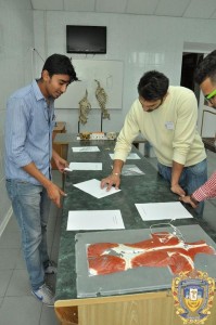 13435447_925109427611188_1037485636990362225_n