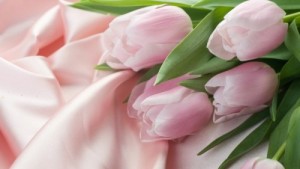 yak-zrobiti--shob-tyulpani-stoyali-dovgo