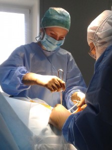 18253937_1356786921067285_935795060_n